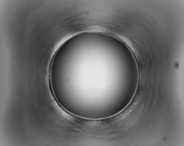 X0000100381387200806131050