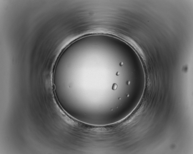 X0000100381388200806131050