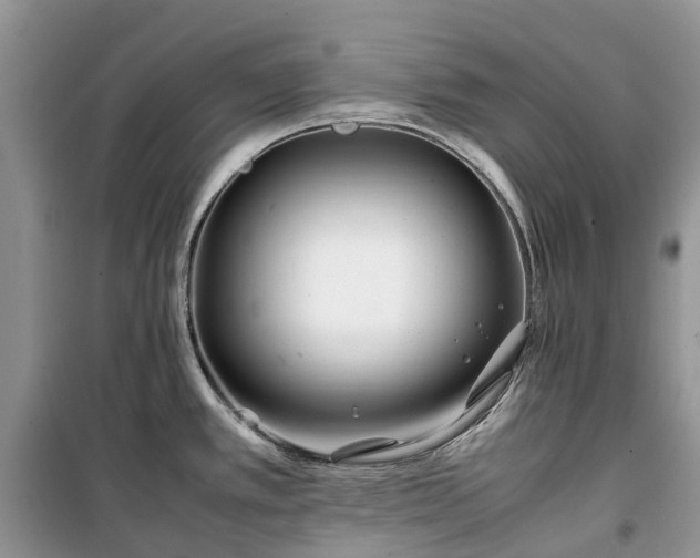 X0000100381389200806131050