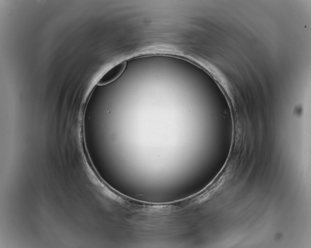 X0000100381390200806131050