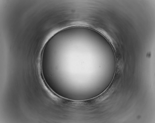 X0000100381391200806131050