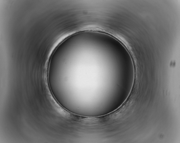 X0000100381392200806131050