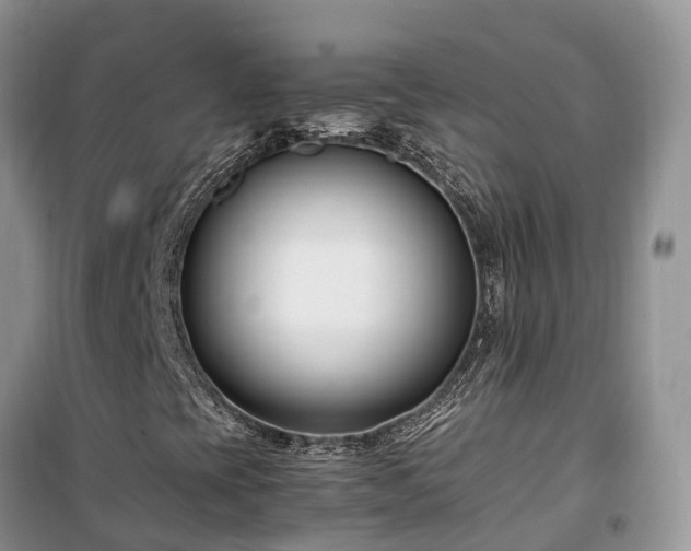 X0000100381393200806131049