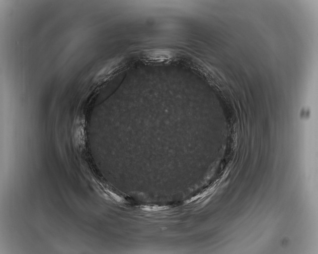 X0000100381394200806131049