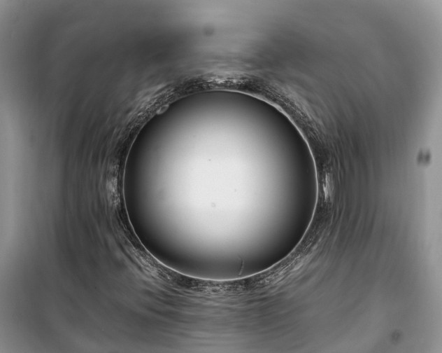 X0000100381396200806131049