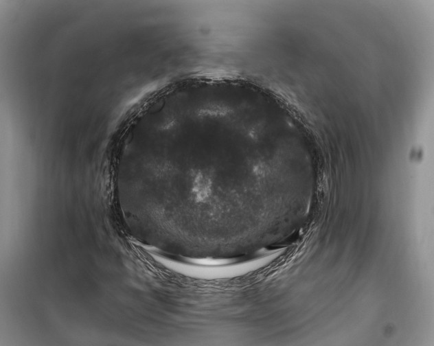 X0000100381398200806131049