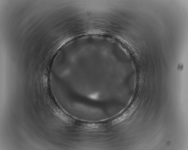 X0000100381401200806131049