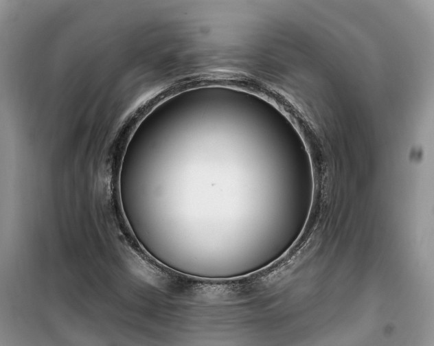 X0000100381402200806131049