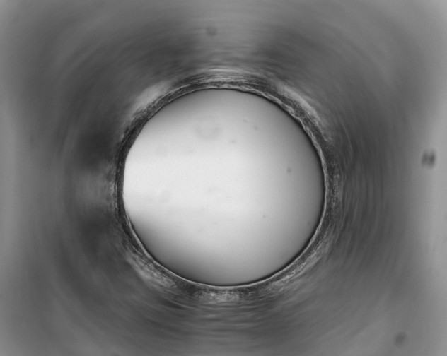 X0000100381403200806131049