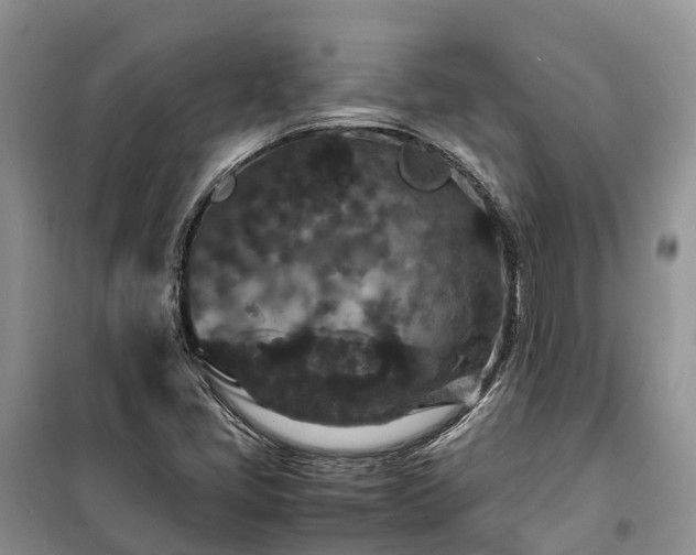 X0000100381405200806131049