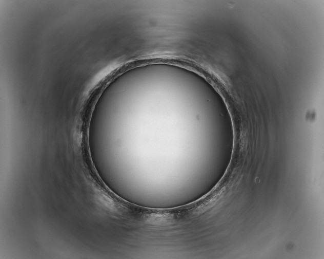 X0000100381406200806131049