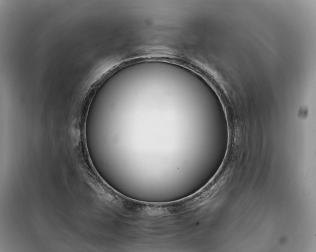 X0000100381407200806131049