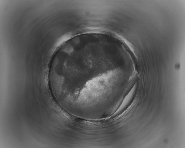 X0000100381411200806131049