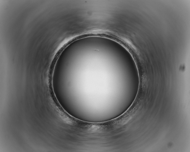 X0000100381412200806131049