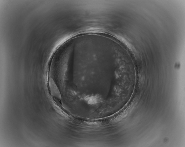 X0000100381413200806131049