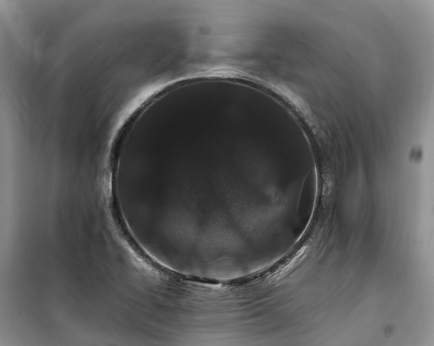 X0000100381414200806131049