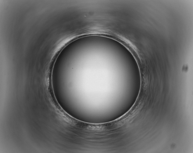 X0000100381415200806131049