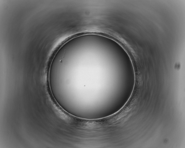 X0000100381416200806131049
