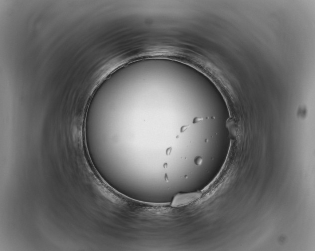 X0000100381417200806131049