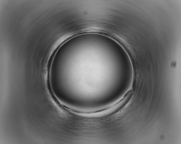 X0000100381418200806131049