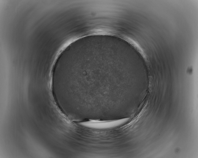 X0000100381419200806131049