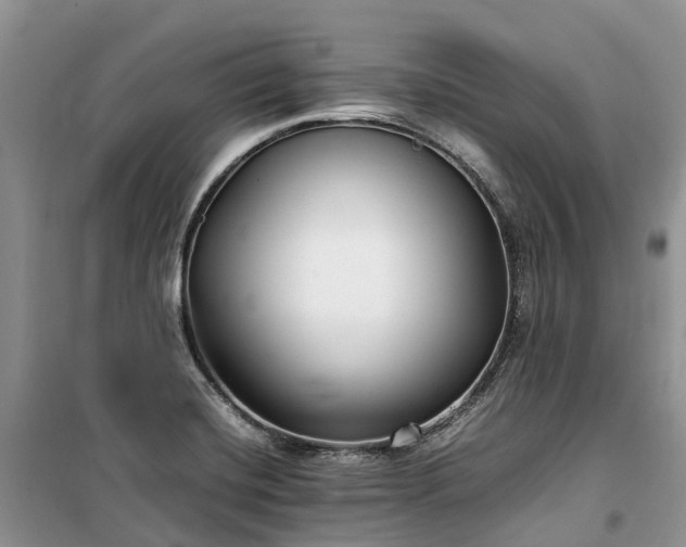 X0000100381420200806131049