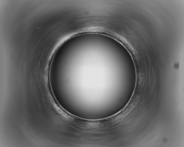X0000100381421200806131049