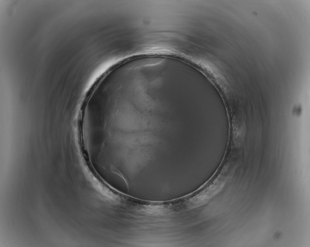 X0000100381422200806131049