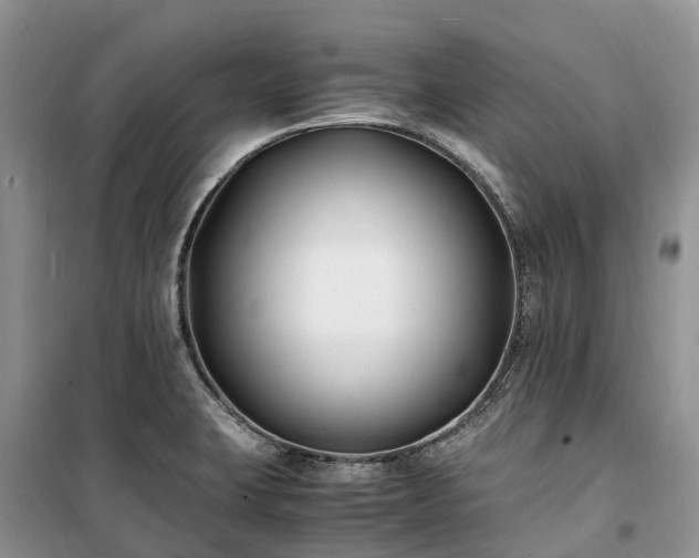 X0000100381423200806131049