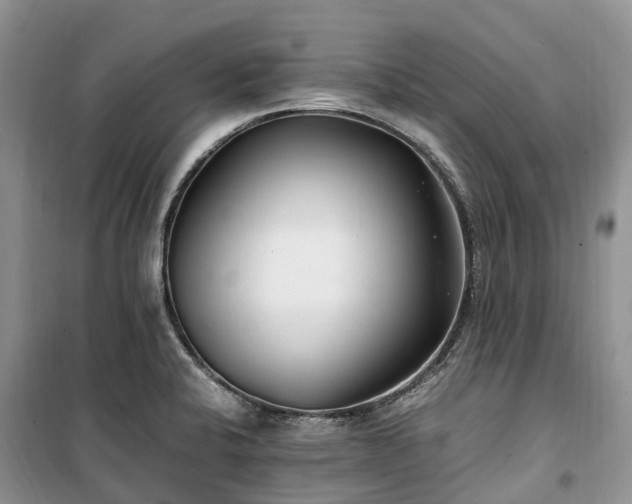 X0000100381424200806131049