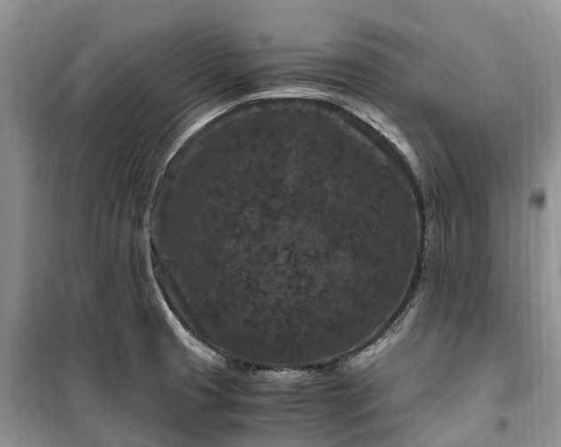 X0000100381425200806131049