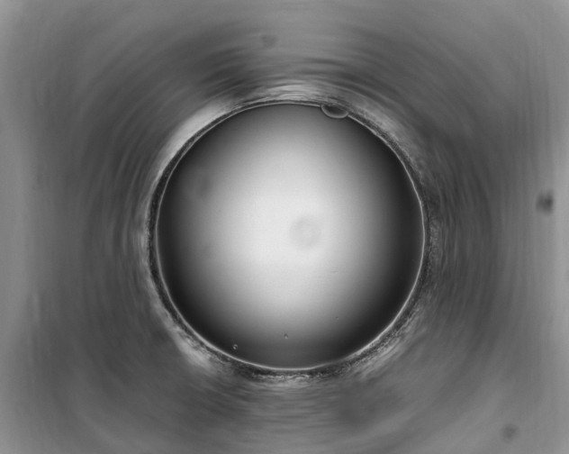 X0000100381426200806131049