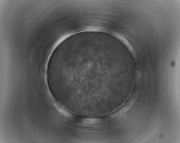 X0000100381427200806131050