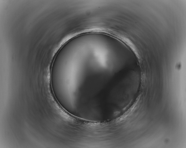 X0000100381428200806131050