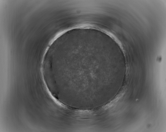 X0000100381429200806131050