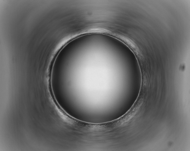 X0000100381430200806131050