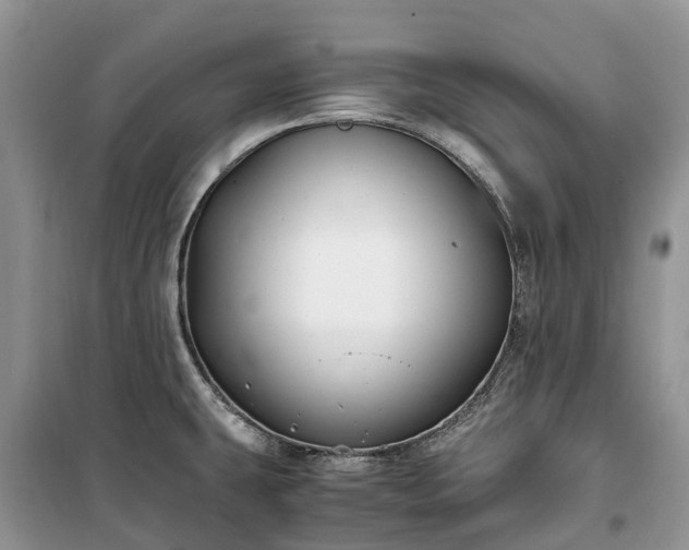 X0000100381431200806131050