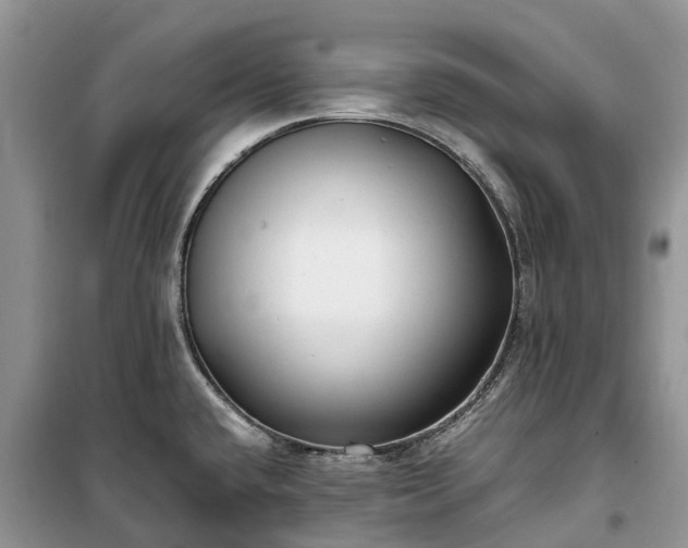 X0000100381432200806131050