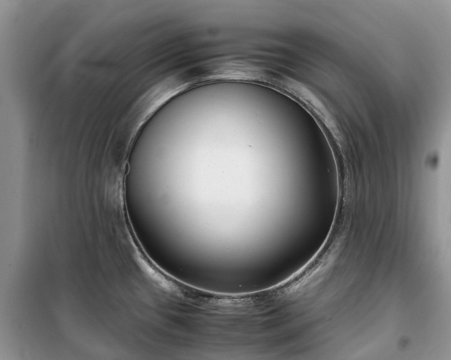 X0000100381433200806131050