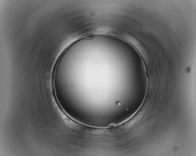 X0000100381434200806131050