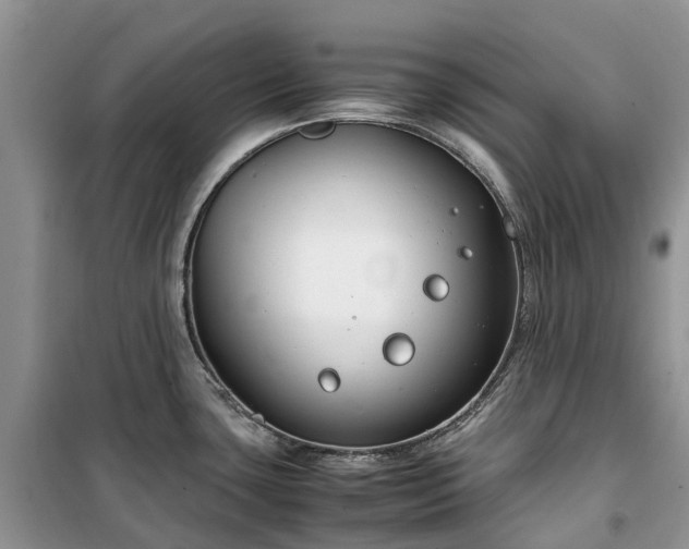 X0000100381435200806131050