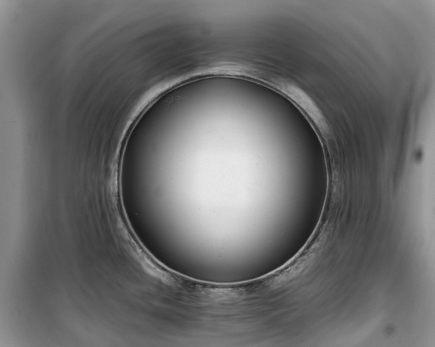 X0000100381436200806131050