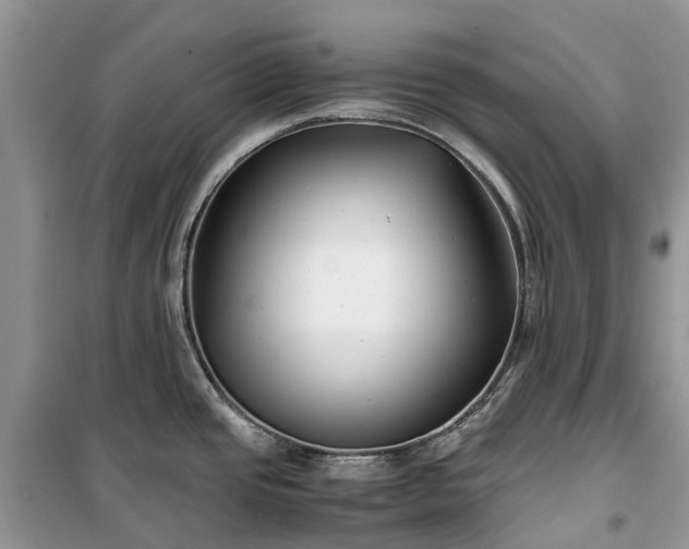 X0000100381437200806131050