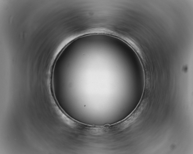 X0000100381438200806131050
