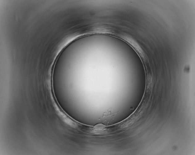 X0000100381439200806131050