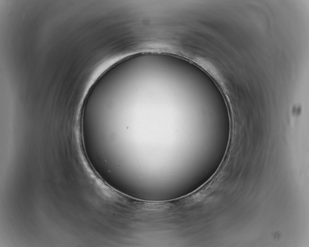 X0000100381440200806131050