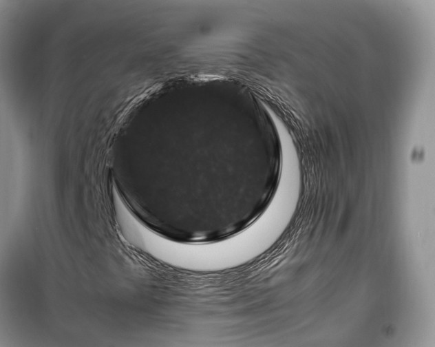 X0000100381441200806131049