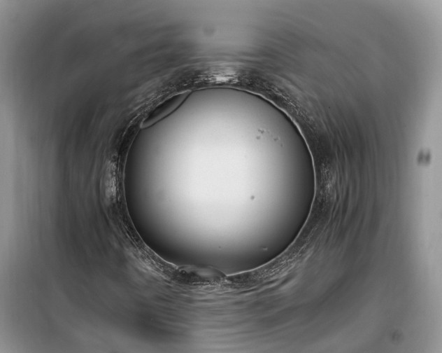 X0000100381442200806131049