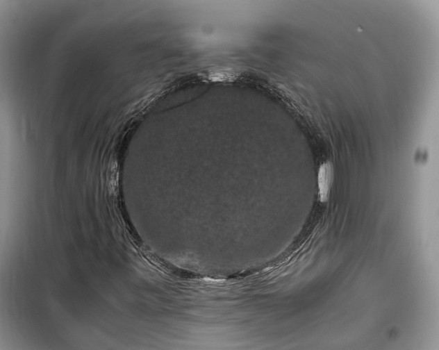 X0000100381443200806131049