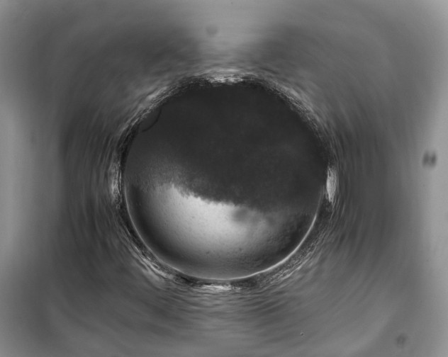 X0000100381444200806131049